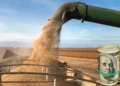 Presentaron un proyecto de ley para eliminar las retenciones al campo.