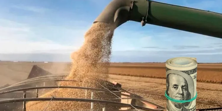 Presentaron un proyecto de ley para eliminar las retenciones al campo.