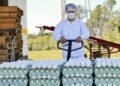 Argentina Agota en 15 Días la Cuota de Exportación de Huevos a la Unión Europea