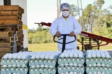 Argentina Agota en 15 Días la Cuota de Exportación de Huevos a la Unión Europea