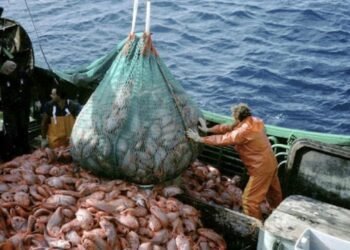 Caputo destaca el aumento en las exportaciones pesqueras, mientras la industria advierte sobre la crisis de rentabilidad