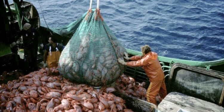 Caputo destaca el aumento en las exportaciones pesqueras, mientras la industria advierte sobre la crisis de rentabilidad