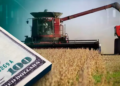 Más allá de las retenciones: el factor crucial que inquieta al agro y condiciona sus decisiones de inversión