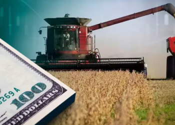 Más allá de las retenciones: el factor crucial que inquieta al agro y condiciona sus decisiones de inversión