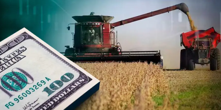 Más allá de las retenciones: el factor crucial que inquieta al agro y condiciona sus decisiones de inversión
