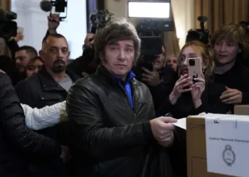 Las PASO bajo la lupa ajena