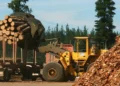 La industria forestal de Misiones demanda soluciones por costos de flete y energía