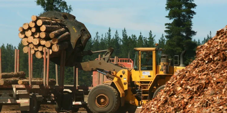 La industria forestal de Misiones demanda soluciones por costos de flete y energía