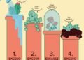 Cinco errores comunes que pueden perjudicar a las plantas de los principiantes