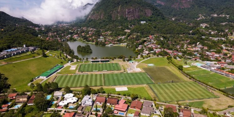 Un inusual suceso en el fútbol juvenil de Brasil: una ave intentó interceptar a un jugador durante un partido