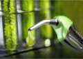 Solicitan al Senado la aprobación urgente del nuevo marco de biocombustibles