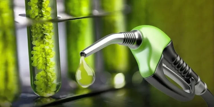 Solicitan al Senado la aprobación urgente del nuevo marco de biocombustibles