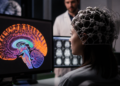Desarrollan un modelo innovador de inteligencia artificial capaz de visualizar la actividad cerebral