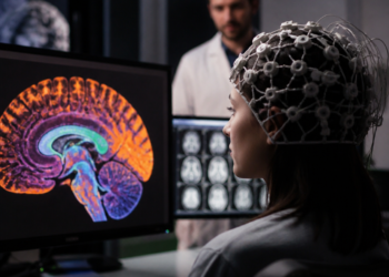 Desarrollan un modelo innovador de inteligencia artificial capaz de visualizar la actividad cerebral