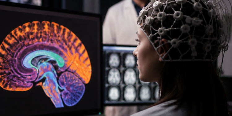 Desarrollan un modelo innovador de inteligencia artificial capaz de visualizar la actividad cerebral