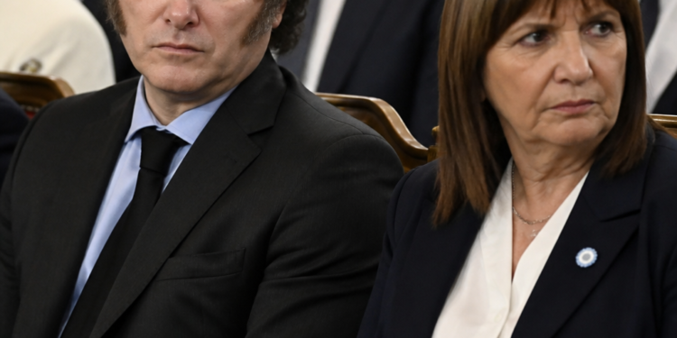 Medidas de Javier Milei bajo la lupa: Bullrich se distanció nuevamente y habló sobre los límites del Ejecutivo