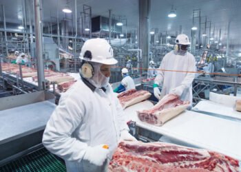 La industria frigorífica enfrenta desafíos significativos