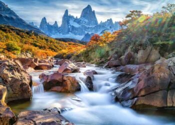 De Córdoba a una nueva oportunidad: la pasión por la agricultura llevó a la Patagonia a un emprendedor