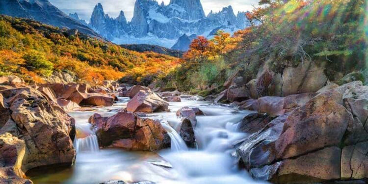 De Córdoba a una nueva oportunidad: la pasión por la agricultura llevó a la Patagonia a un emprendedor
